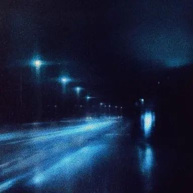 Profile image of 이 해