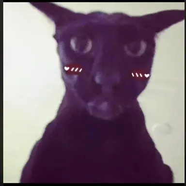 Profile image of Alejandro