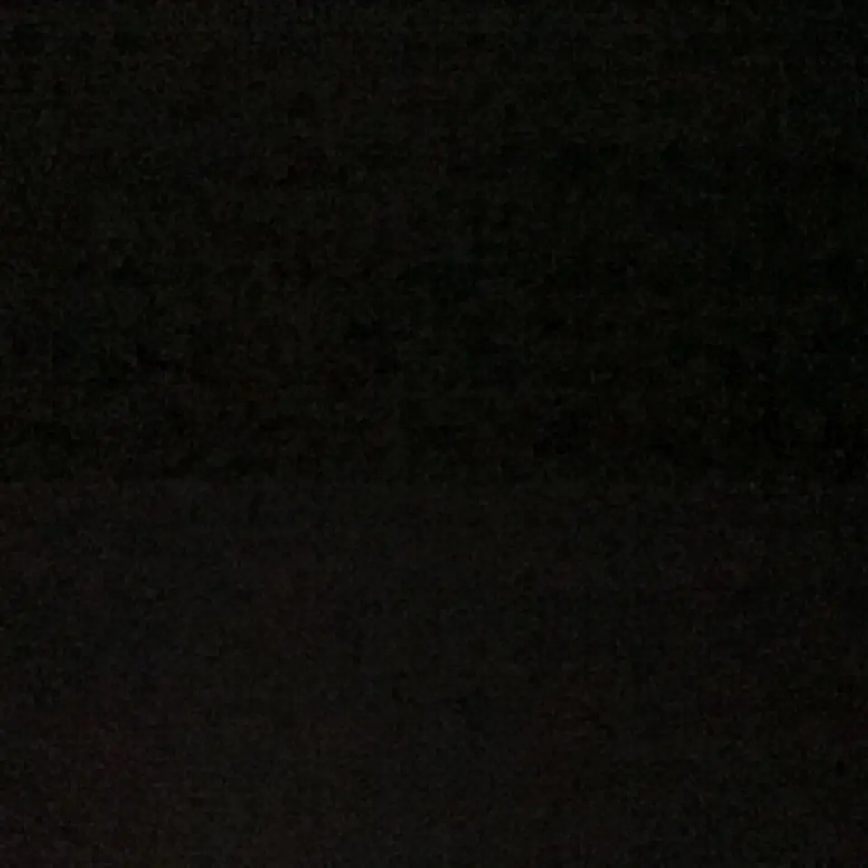 bassluv_1006의 동거인