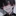 휘 윤