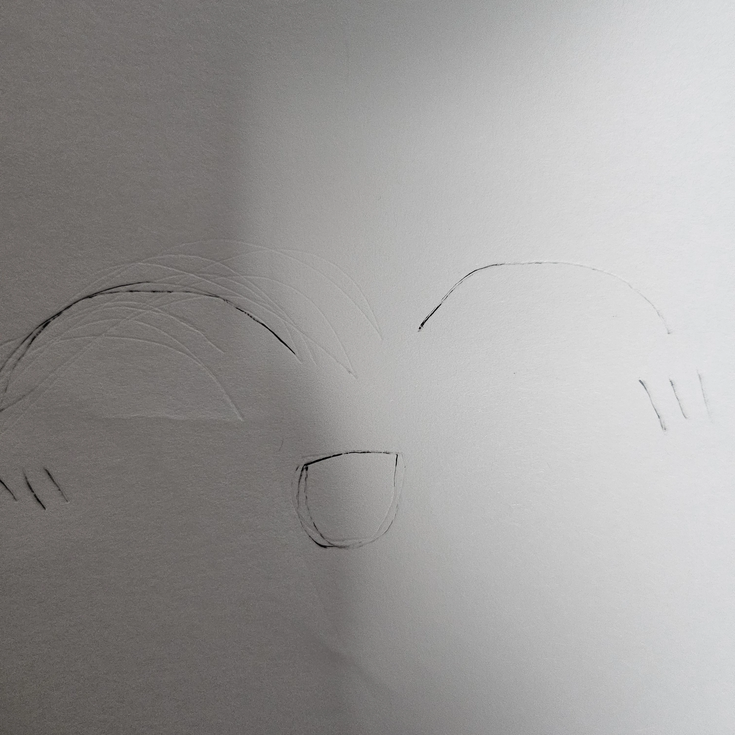 제작자