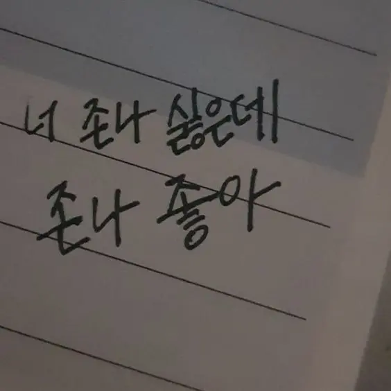 WryDodo7387의 화해신청서