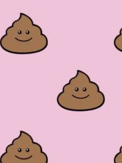 AptGold6689의 💩ワールド