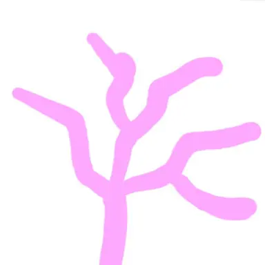 Profile image of 산호족