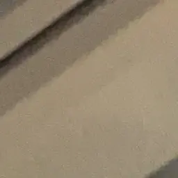kamineaoi의 猿尾