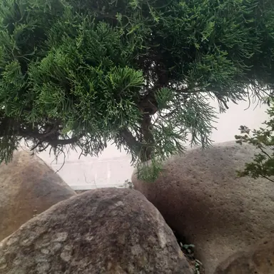 Profile image of 정공룡