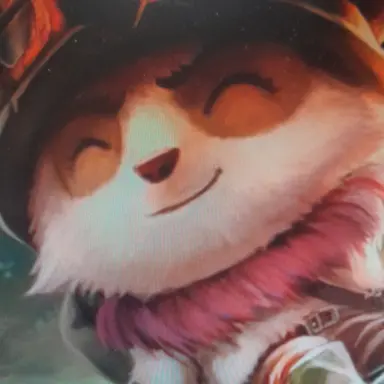 Profile image of 티모