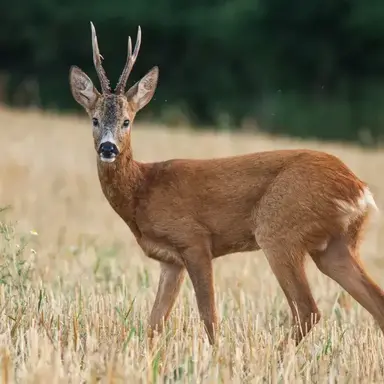 Profile image of 김솔음