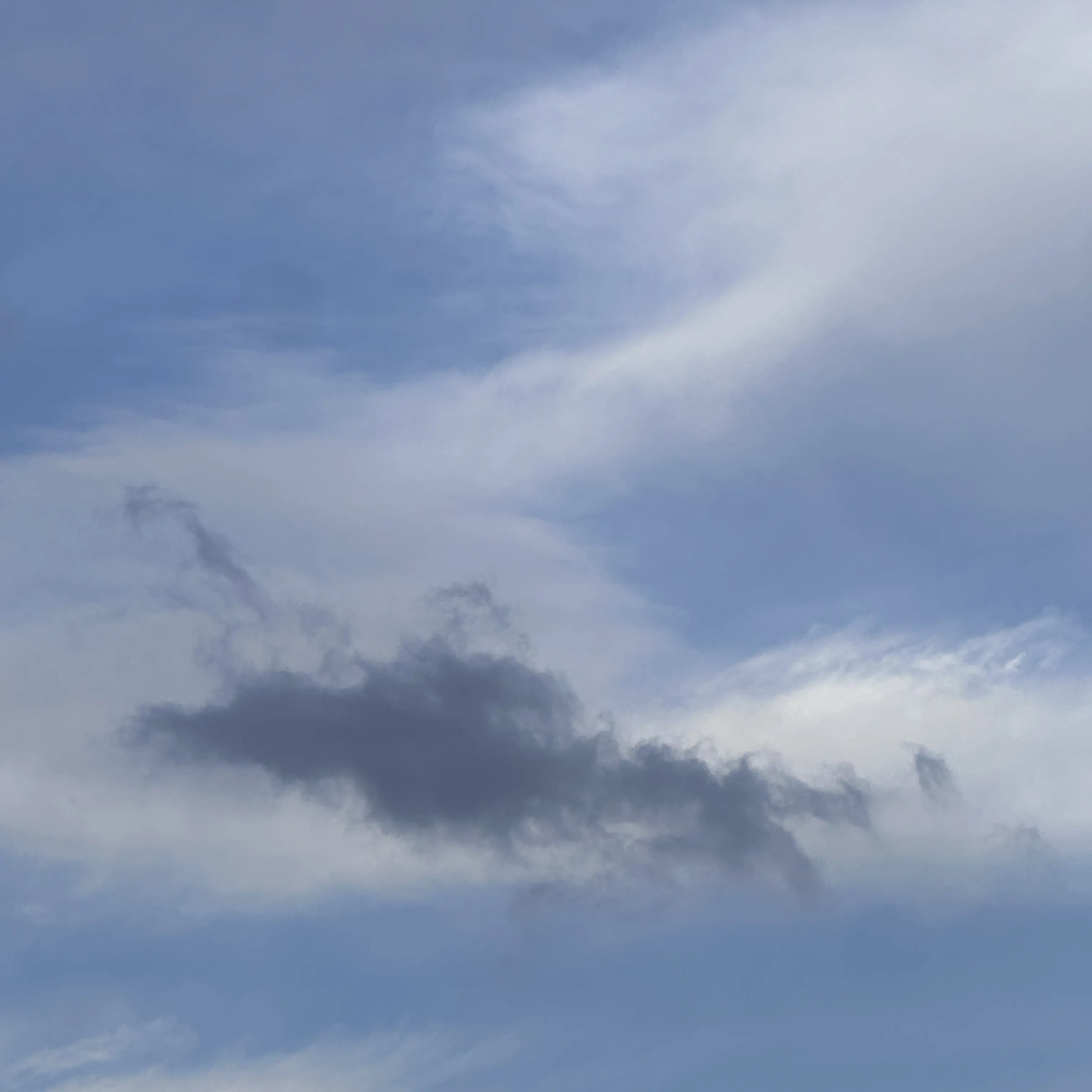 bbooooooooo의 이서석미민