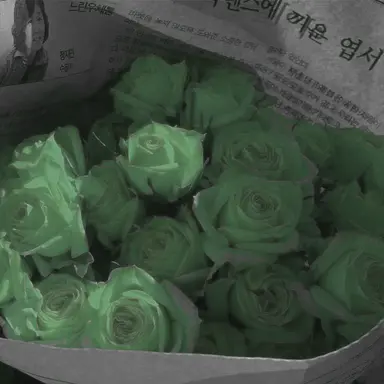 Profile image of 정공룡