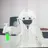 스텔라