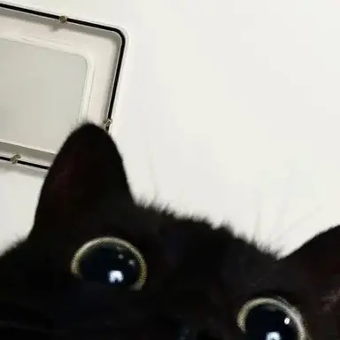 Profile image of りく