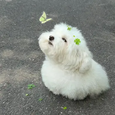 Profile image of りょう