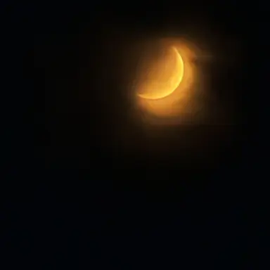 Profile image of 유지민