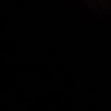 Profile image of 금성제