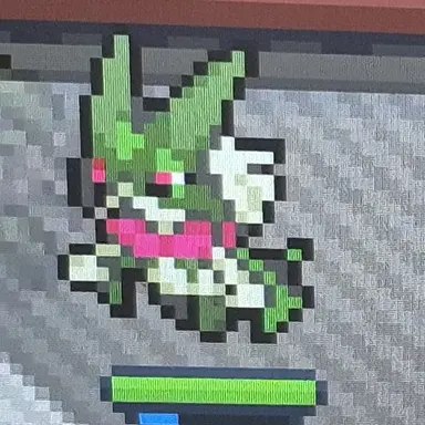 Profile image of 마스카나