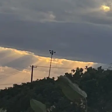 Profile image of 蓮