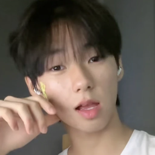 백문종