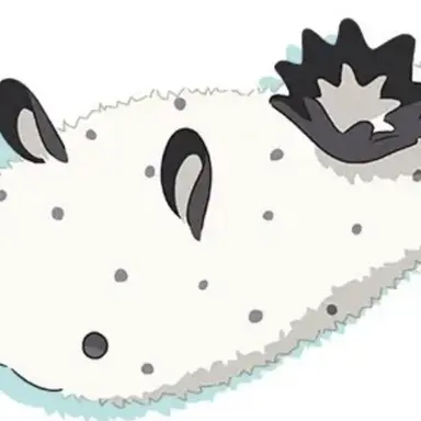 Profile image of 후시