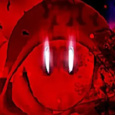 Profile image of 쿠키드