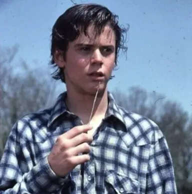 Profile image of Ponyboy Curtis