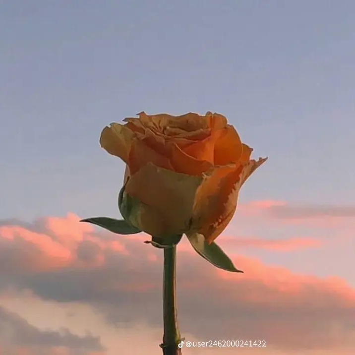 1214 대표 이미지