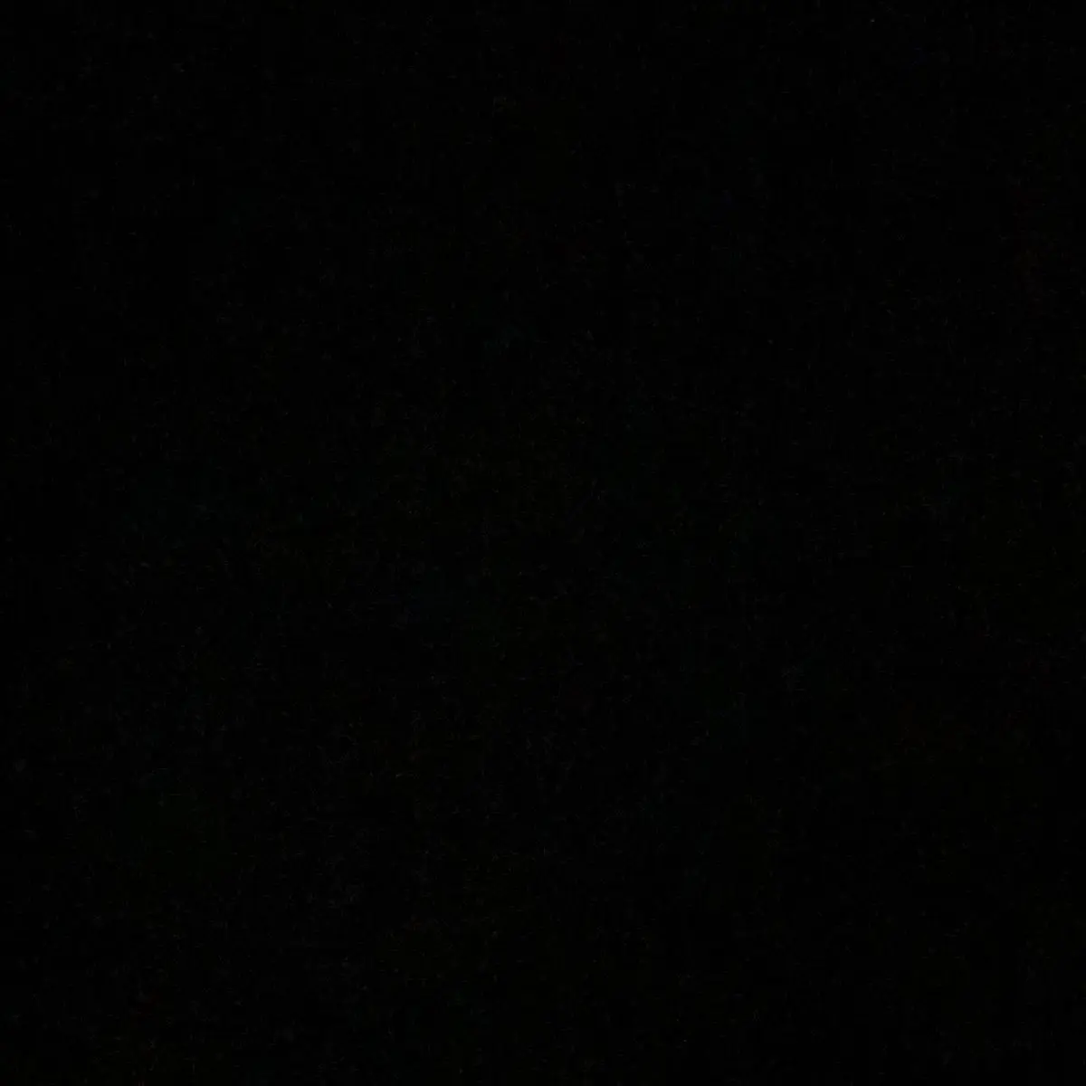 BoredGhost5912의 유강민