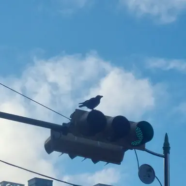 Profile image of 잭