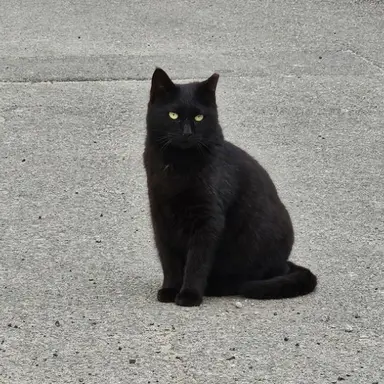 Profile image of 서성은