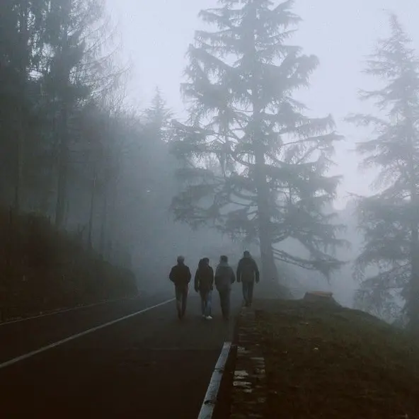 FluidSnow1878의 Zombie Apocalypse