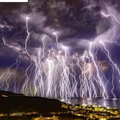 Profile image of 이유나