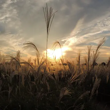 Profile image of 최호윤