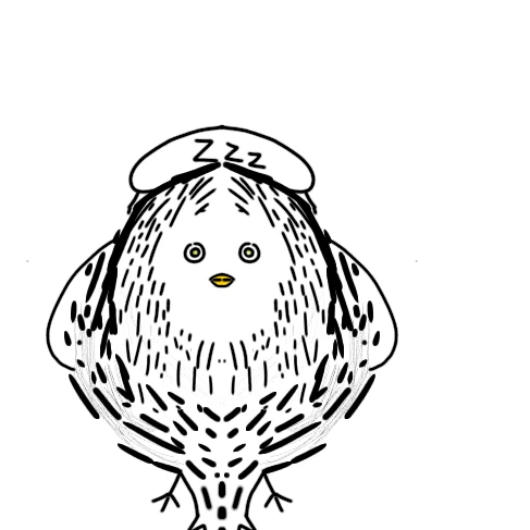 리레볼루션