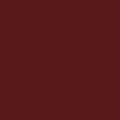 Profile image of 椿