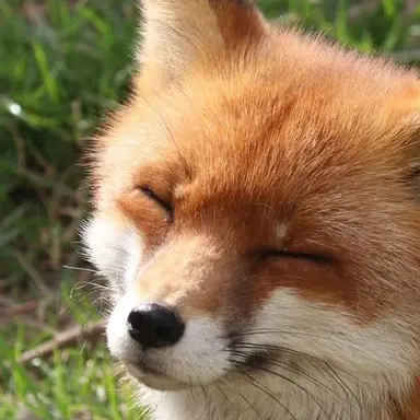 Profile image of 아이엔