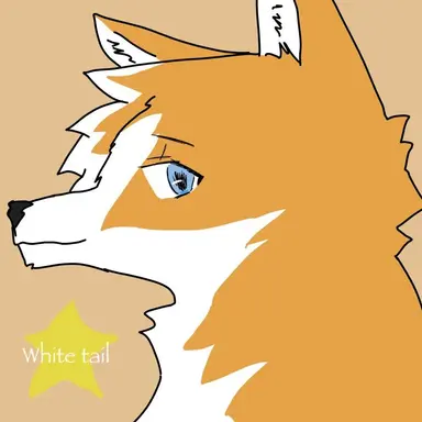 Profile image of 화이트테일