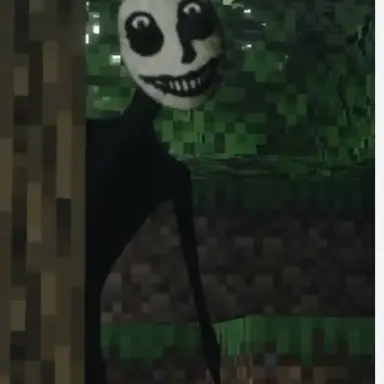 Profile image of the stalker