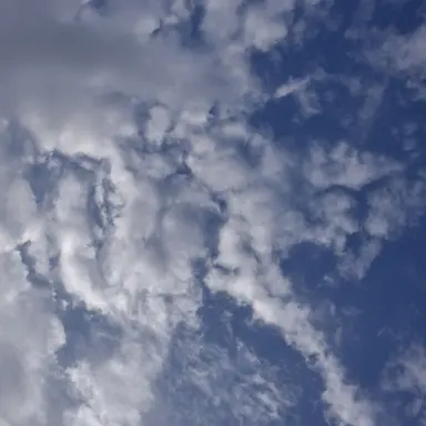 Profile image of 스트레이키즈