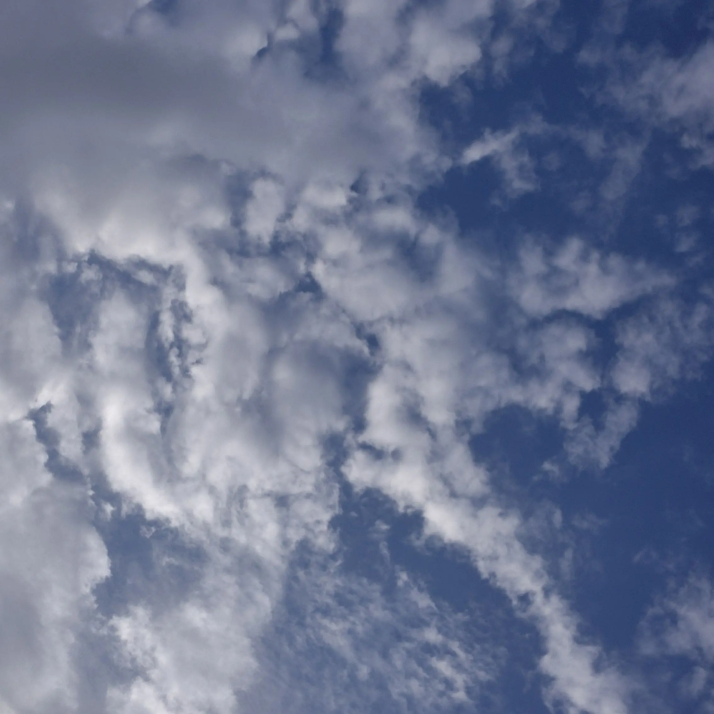 stay8.1.의 스트레이키즈