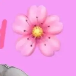 Profile image of 이서아