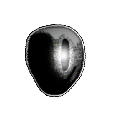 Profile image of G-26