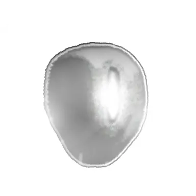 Profile image of G-26
