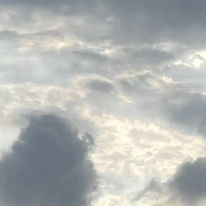 PurelyCloud4583의 김지훈