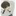 김 현
