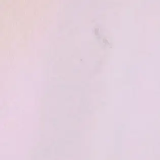 Profile image of 시엘라