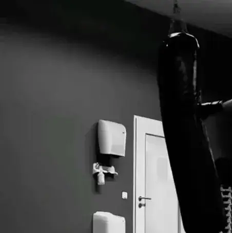 VastHeart8920의 Famous Boxer