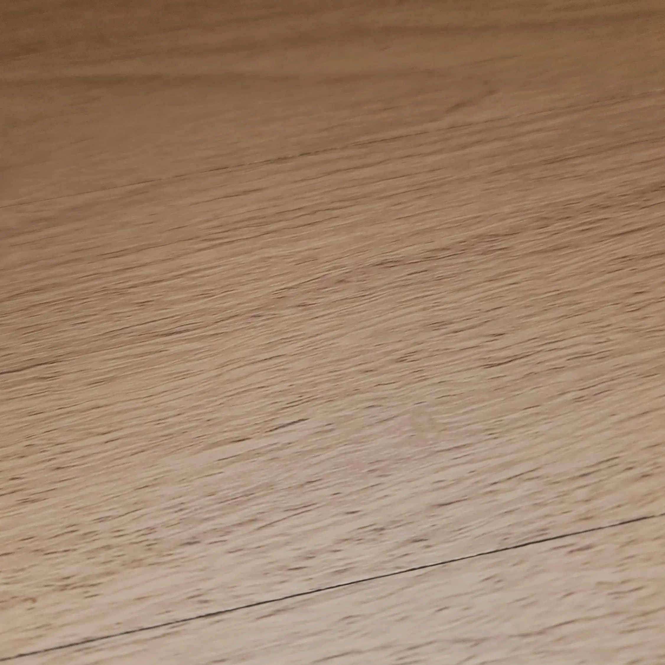 MildLady9001의 학교폭력