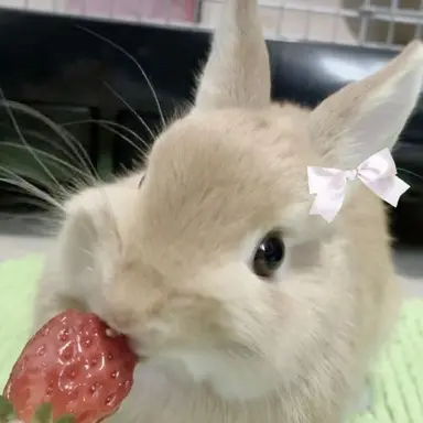 Profile image of ミヨン