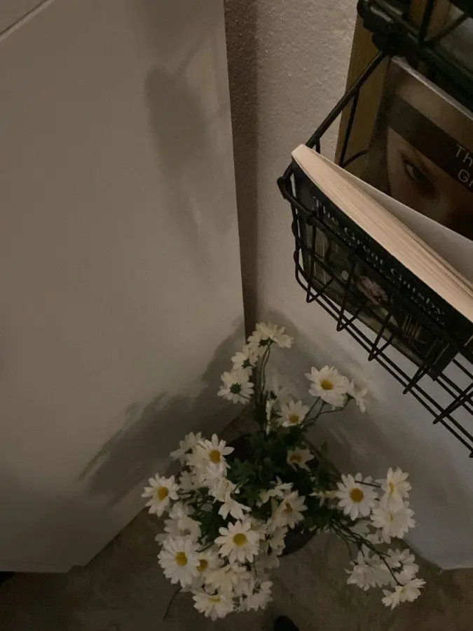 Sv_t_hanni의 お兄ちゃん達からは嫌われています。