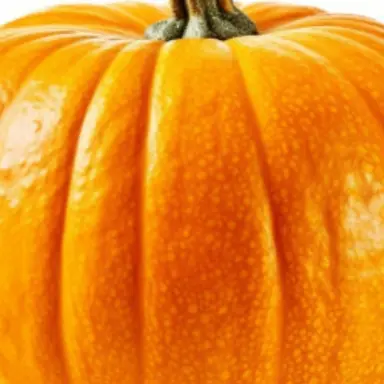 Profile image of 듀세카